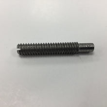 Load image into Gallery viewer, Glue Plate Pivot Screw
