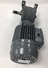 Load image into Gallery viewer, Motor Plus Plate Assembly
