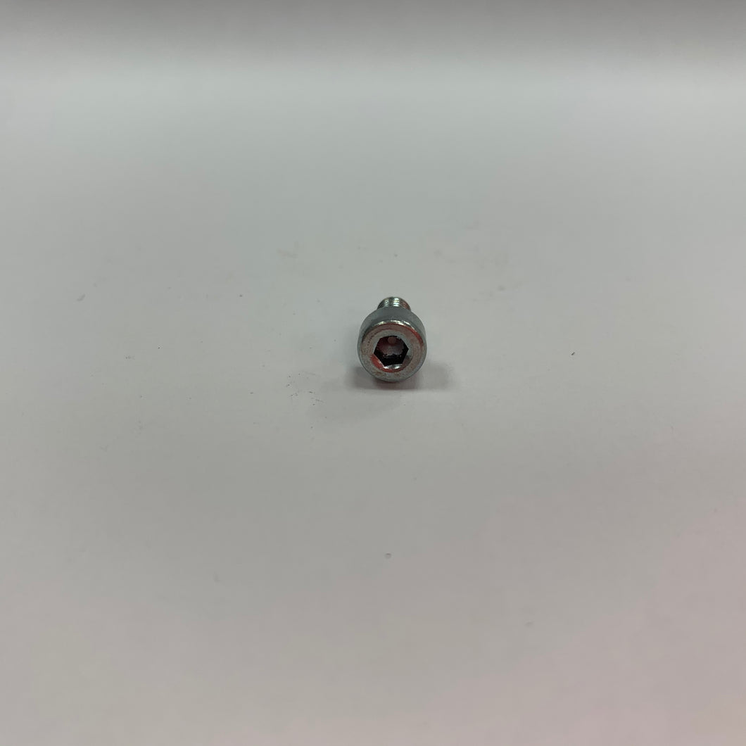 Screw 4mm Socket Head Cap