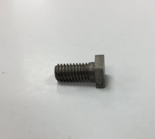 Load image into Gallery viewer, Shear Edge Screw
